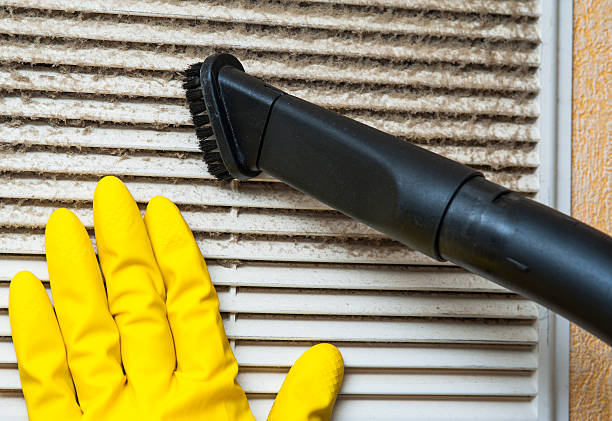 Best Affordable Air Duct Cleaning  in Pelican Bay, TX